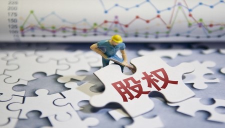 1767173113528883.jpg 股权1.jpg