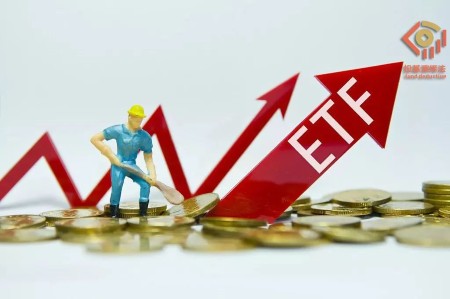 1769581931797002.jpg 8.jpg